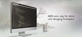 Dynamic SlideShow – AWS advanced designing techniques
